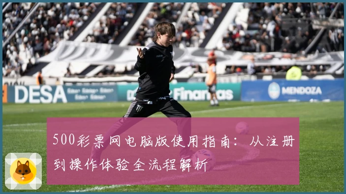 500彩票网电脑版使用指南：从注册到操作体验全流程解析